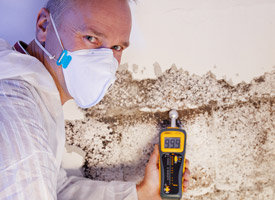 mold remediation black mold restoration cleanup